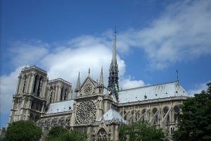 katedra notre dam